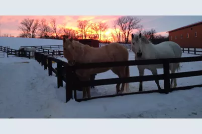21168 Klein Road #1, Detroit Lakes, MN 56501 - Photo 92