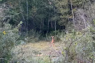 8646 170th St, Milaca, MN 56353 - Photo 30