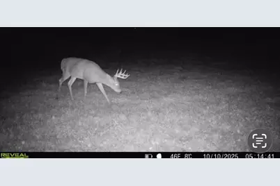 8646 170th Street, Milaca, MN 56353 - Photo 30