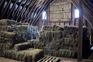 21510 430th Ave, Morris, MN 56267 - Photo 42