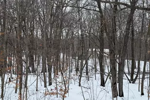 16236 305 Ave, Detroit Lakes, MN 56501 - Photo 30