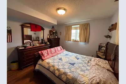 16236 305th Avenue, Detroit Lakes, MN 56501 - Photo 32