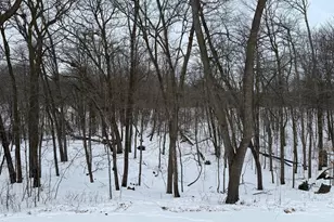 16236 305 Ave, Detroit Lakes, MN 56501 - Photo 46