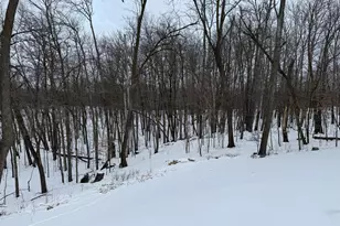 16236 305 Ave, Detroit Lakes, MN 56501 - Photo 44