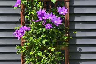 932 Deerfield Rd, Watertown, MN 55388 - Photo 48