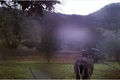 28890 County 25 S, Peterson, MN 55962 - Photo 90