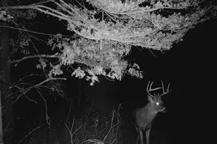 28890 County 25 S, Peterson, MN 55962 - Photo 84