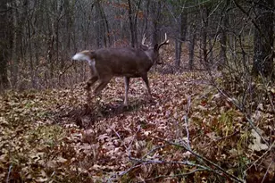 28890 County 25 S, Peterson, MN 55962 - Photo 42