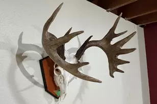 28890 County 25 S, Peterson, MN 55962 - Photo 40