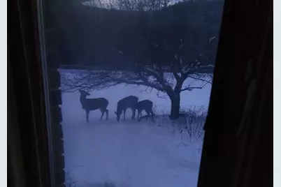 28890 County 25 S, Peterson, MN 55962 - Photo 52