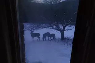 28890 County 25 S, Peterson, MN 55962 - Photo 52