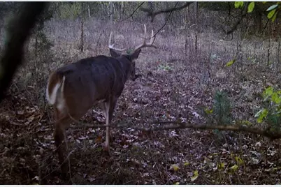 28890 County 25 S, Peterson, MN 55962 - Photo 48