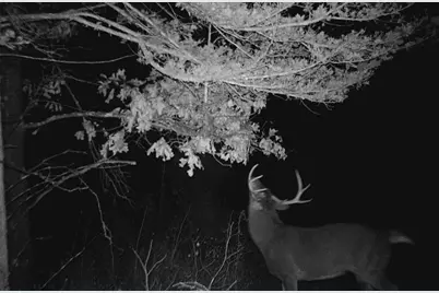 28890 County 25 S, Peterson, MN 55962 - Photo 96