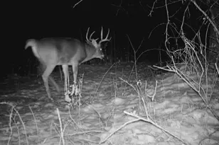 28890 County 25 S, Peterson, MN 55962 - Photo 78