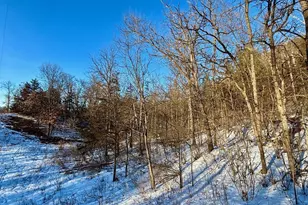 28890 County 25 S, Peterson, MN 55962 - Photo 76