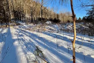 28890 County 25 S, Peterson, MN 55962 - Photo 74