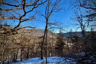 28890 County 25 S, Peterson, MN 55962 - Photo 88