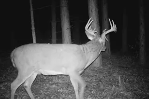 28890 County 25 S, Peterson, MN 55962 - Photo 98