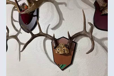 28890 County 25 S, Peterson, MN 55962 - Photo 46