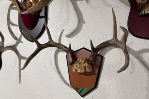 28890 County 25 S, Peterson, MN 55962 - Photo 46