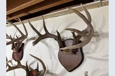 28890 County 25 S, Peterson, MN 55962 - Photo 56