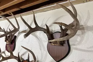 28890 County 25 S, Peterson, MN 55962 - Photo 56