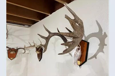 28890 County 25 S, Peterson, MN 55962 - Photo 62