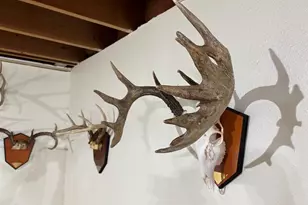 28890 County 25 S, Peterson, MN 55962 - Photo 62