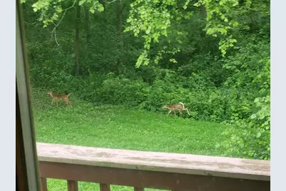 28890 County 25 S, Peterson, MN 55962 - Photo 64