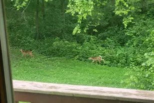 28890 County 25 S, Peterson, MN 55962 - Photo 64
