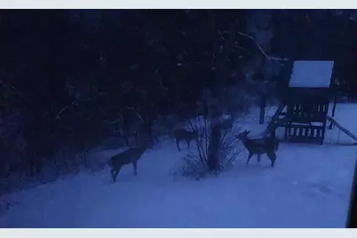 28890 County 25 S, Peterson, MN 55962 - Photo 66