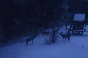 28890 County 25 S, Peterson, MN 55962 - Photo 66