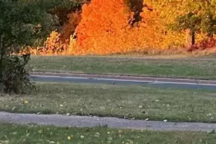 1337 Prairie Ln, Saint Croix Falls, WI 54024 - Photo 6