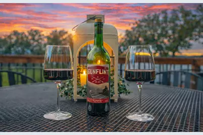 29430 Endress Way, Cannon Falls, MN 55009 - Photo 2