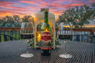 29430 Endress Way, Cannon Falls, MN 55009 - Photo 2