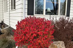 101 E Hawthorne St, Albert Lea, MN 56007 - Photo 42