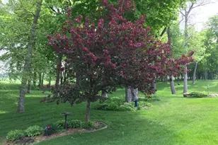 3909 Geneva Golf Club Dr NE, Alexandria, MN 56308 - Photo 56