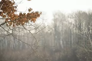 10984 Harvest Rd, Little Falls, MN 56345 - Photo 8