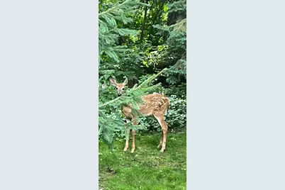 3 Oakview Court, Birchwood Village, MN 55110 - Photo 36