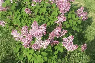 4318 E Valley Brook Rd, Superior, WI 54880 - Photo 56