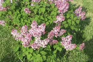 4318 E Valley Brook Rd, Superior, WI 54880 - Photo 60