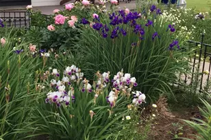 4318 E Valley Brook Rd, Superior, WI 54880 - Photo 58