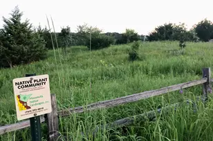 6848 Omar Ave Ct S, Denmark Twp, MN 55033 - Photo 70