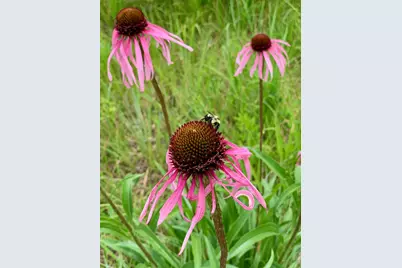 6848 Omar Avenue Court S, Denmark Twp, MN 55033 - Photo 98