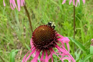 6848 Omar Ave Ct S, Denmark Twp, MN 55033 - Photo 98