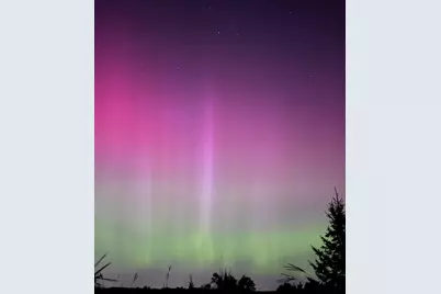 6848 Omar Avenue Court S, Denmark Twp, MN 55033 - Photo 92