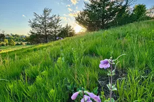 6848 Omar Ave Ct S, Denmark Twp, MN 55033 - Photo 64