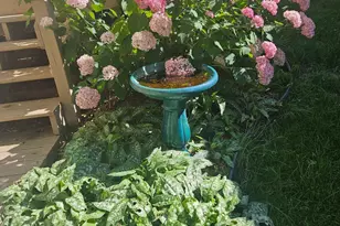 5773 Grandview Blvd, Mound, MN 55364 - Photo 34