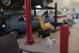 5235 177th Ave NW, Ramsey, MN 55303 - Photo 48