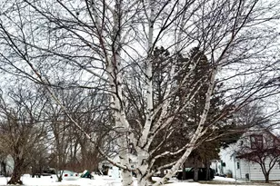 788 4th St, Audubon, MN 56511 - Photo 34